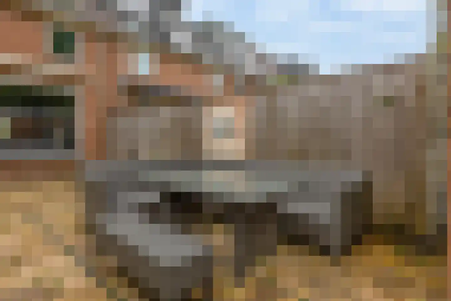 Kraaiheide 42 Rotterdam thumbnail 31