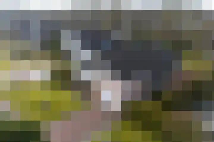 Kraaiheide 5 Heerenveen thumbnail 34