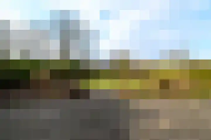 Kraaiheide 5 Heerenveen thumbnail 38