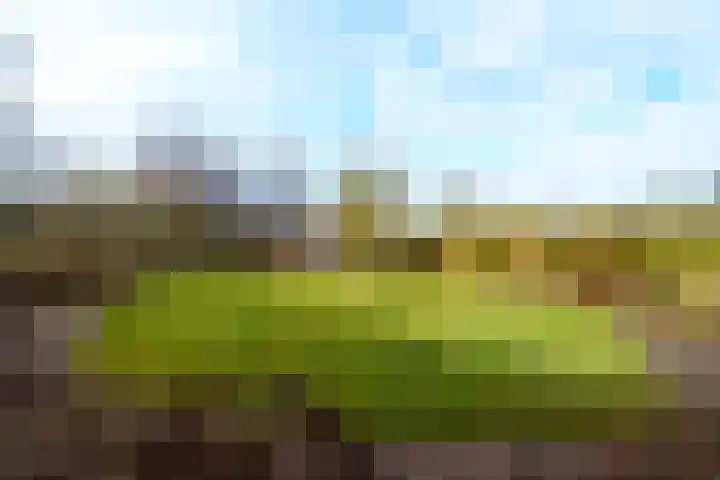 Kraaiheide 5 Heerenveen thumbnail 41