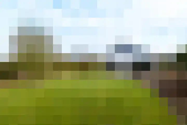 Kraaiheide 5 Heerenveen thumbnail 42