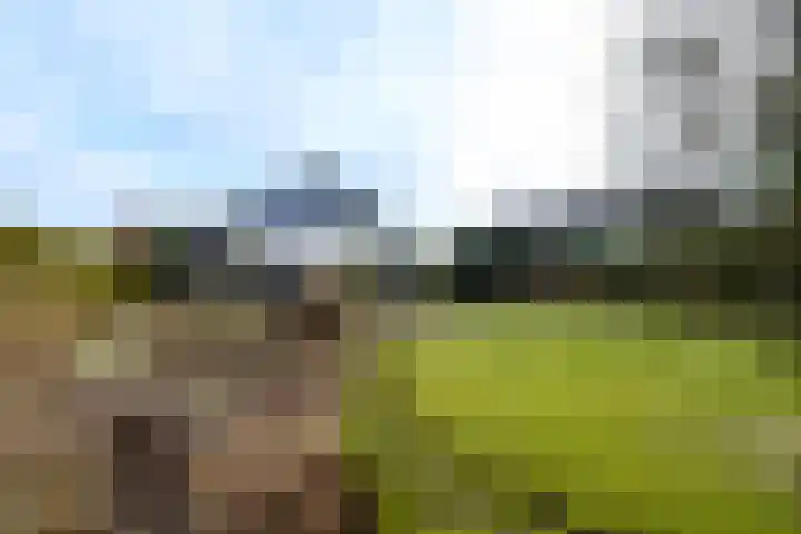 Kraaiheide 5 Heerenveen thumbnail 46