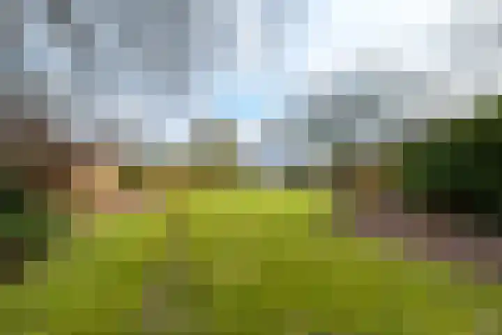 Kraaiheide 5 Heerenveen thumbnail 47