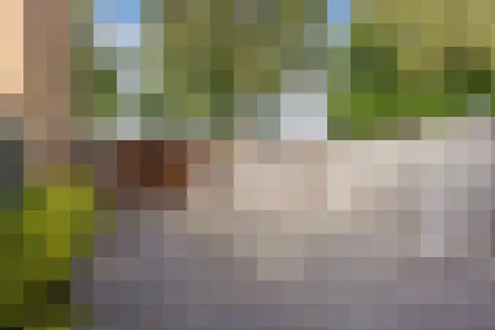Kraaiheide 6 Wolvega thumbnail 31