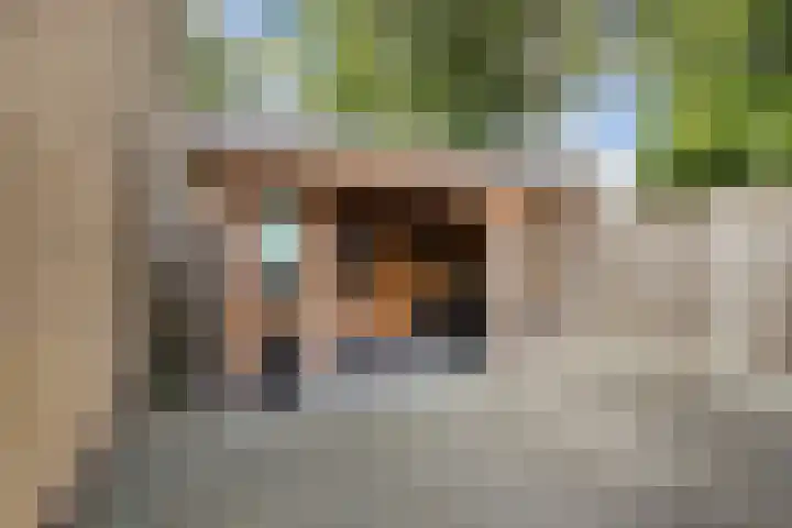 Kraaiheide 6 Wolvega thumbnail 34