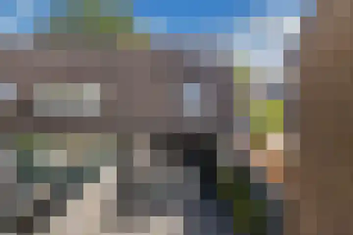 Kraaiheide 6 Wolvega thumbnail 39