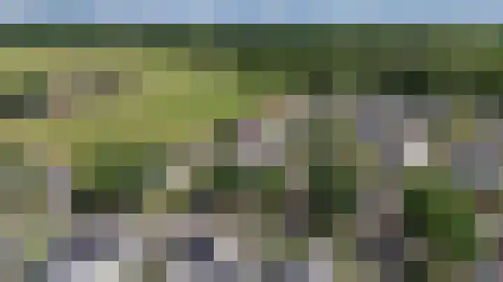 Kraaiheide 64 Eerbeek thumbnail 17