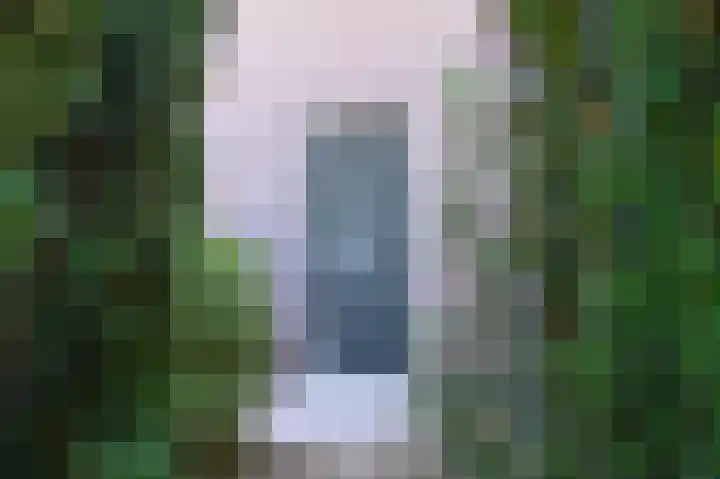 Kraaiheide 64 Eerbeek thumbnail 22