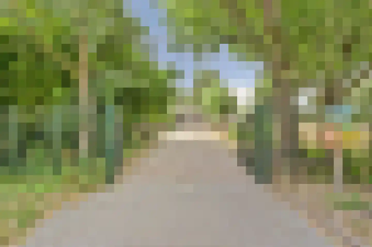 Kraaiheide 8 Rotterdam thumbnail 34