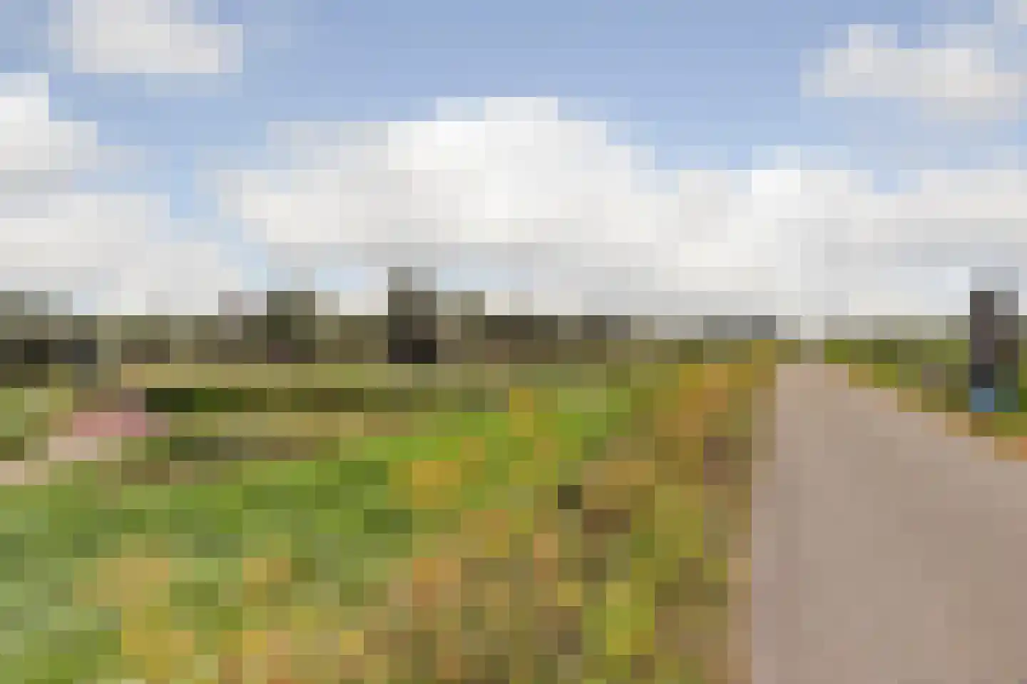 Kraaiheide 8 Rotterdam thumbnail 36