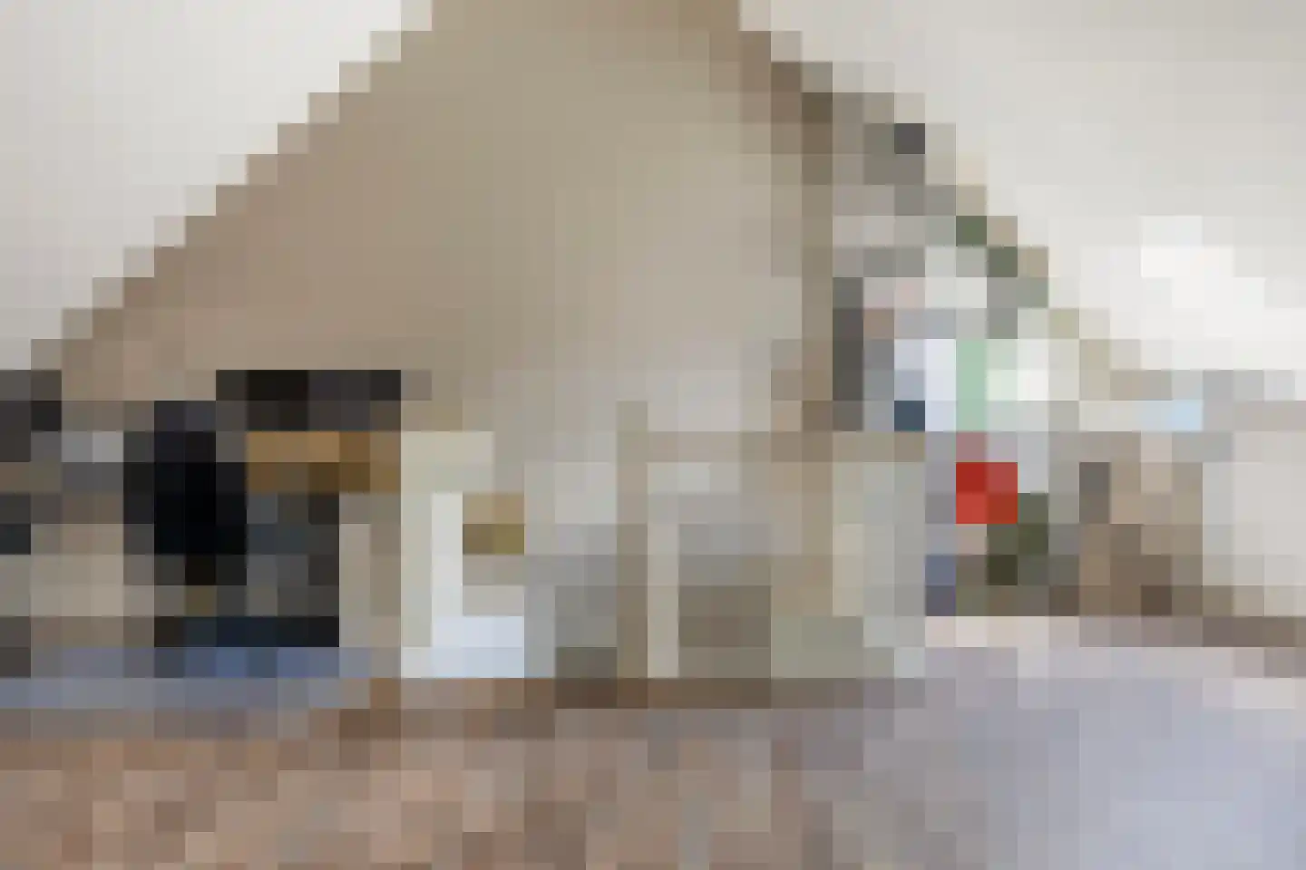 Kraaiheide 8 Stroe thumbnail 28