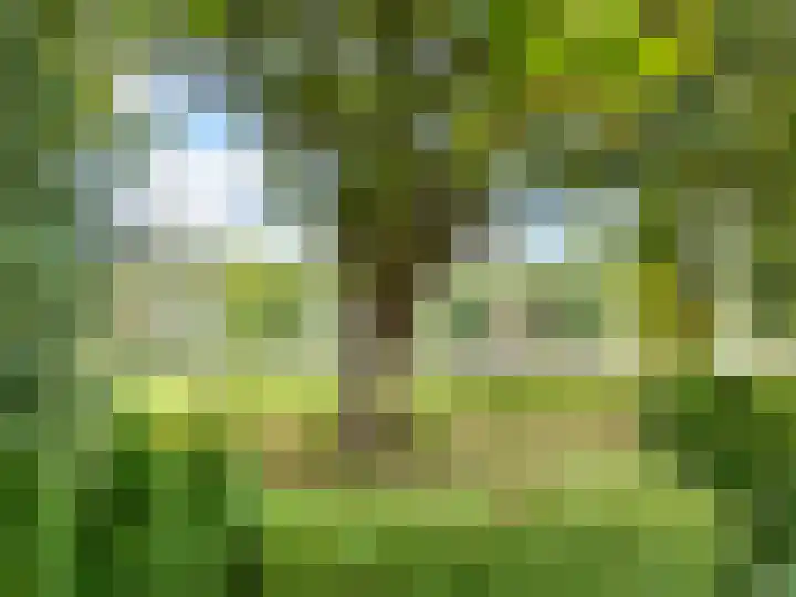 Kraaiheide 82 Eerbeek thumbnail 18