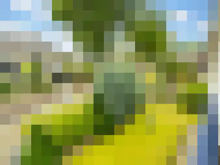 Kraaiheide 82 Eerbeek thumbnail 26