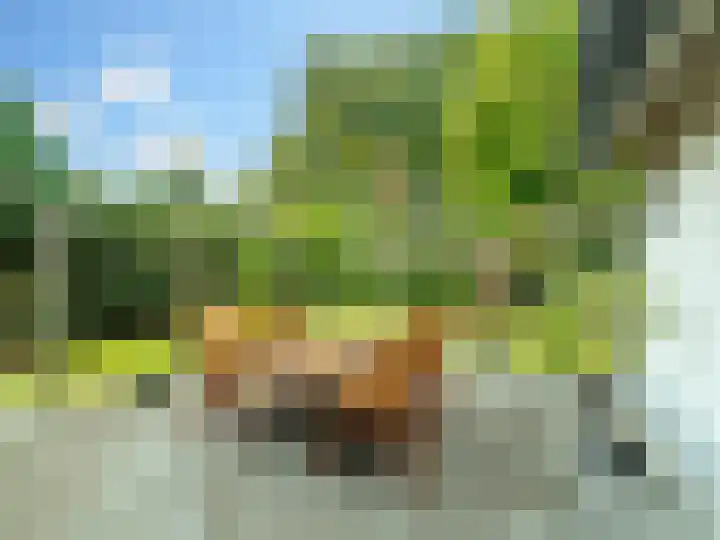 Kraaiheide 82 Eerbeek thumbnail 47