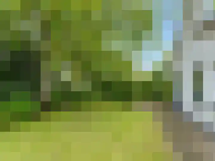 Kraaiheide 82 Eerbeek thumbnail 48