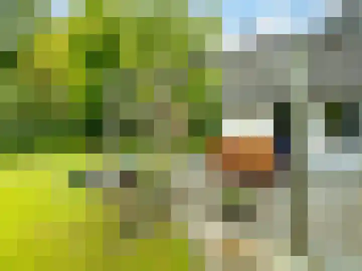 Kraaiheide 82 Eerbeek thumbnail 49