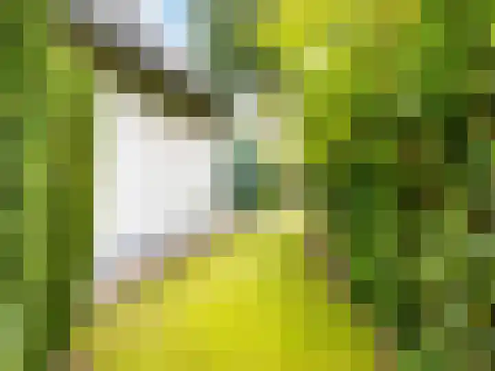 Kraaiheide 82 Eerbeek thumbnail 51