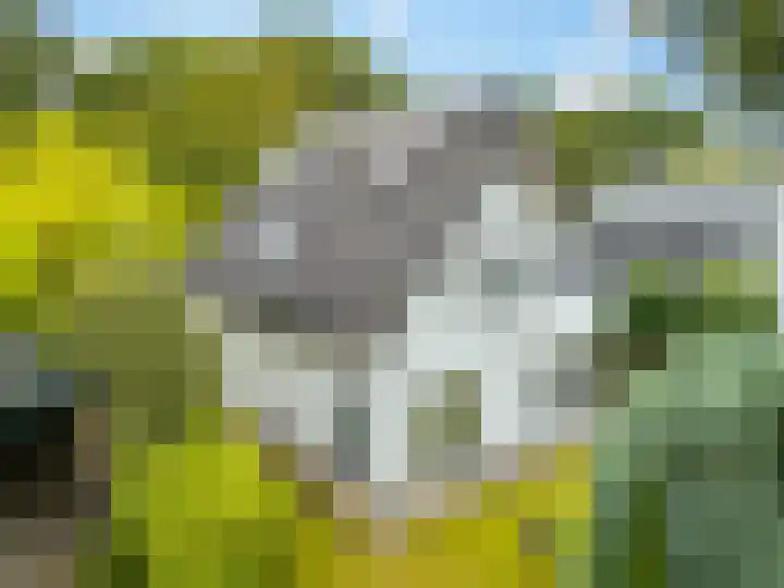 Kraaiheide 82 Eerbeek thumbnail 53