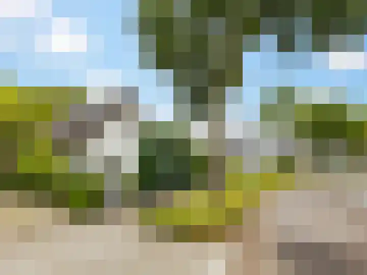 Kraaiheide 82 Eerbeek thumbnail 54