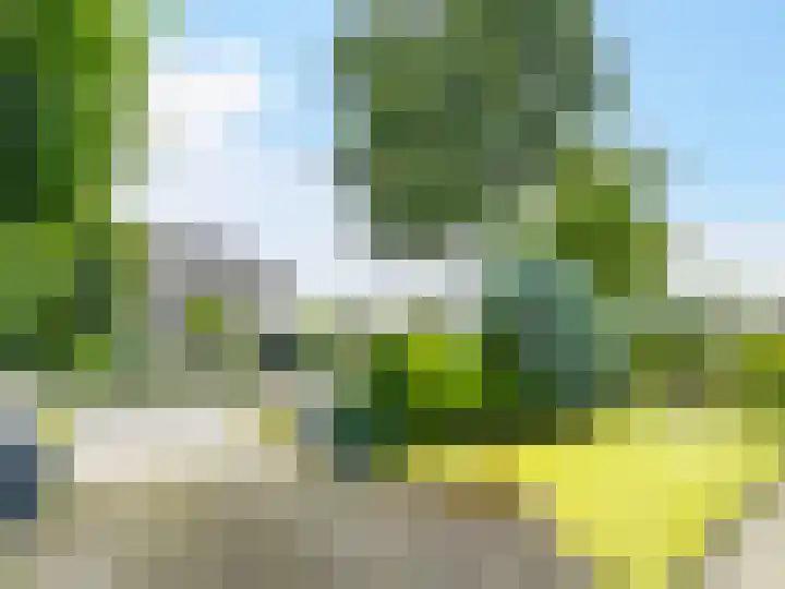 Kraaiheide 82 Eerbeek thumbnail 59