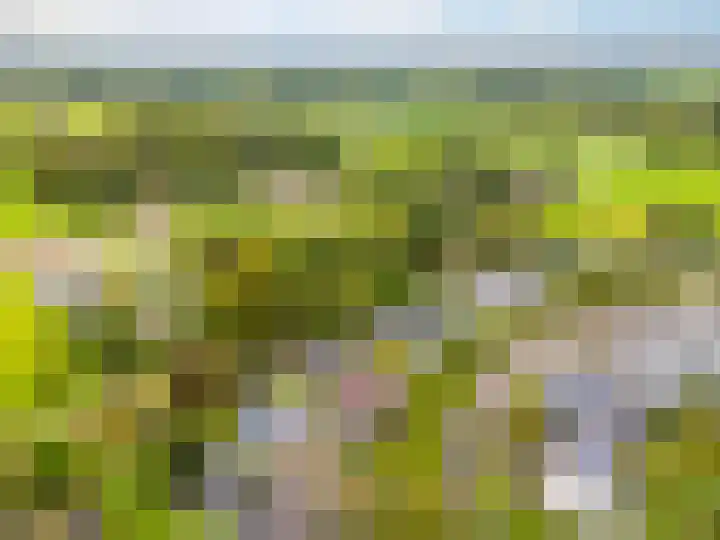Kraaiheide 82 Eerbeek thumbnail 62