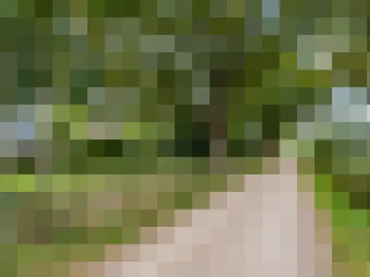 Kraaiheide 82 Eerbeek thumbnail 63