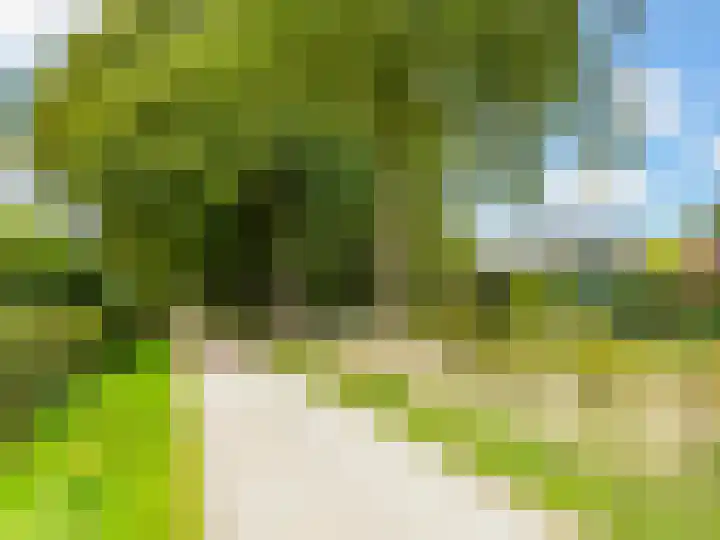 Kraaiheide 82 Eerbeek thumbnail 64