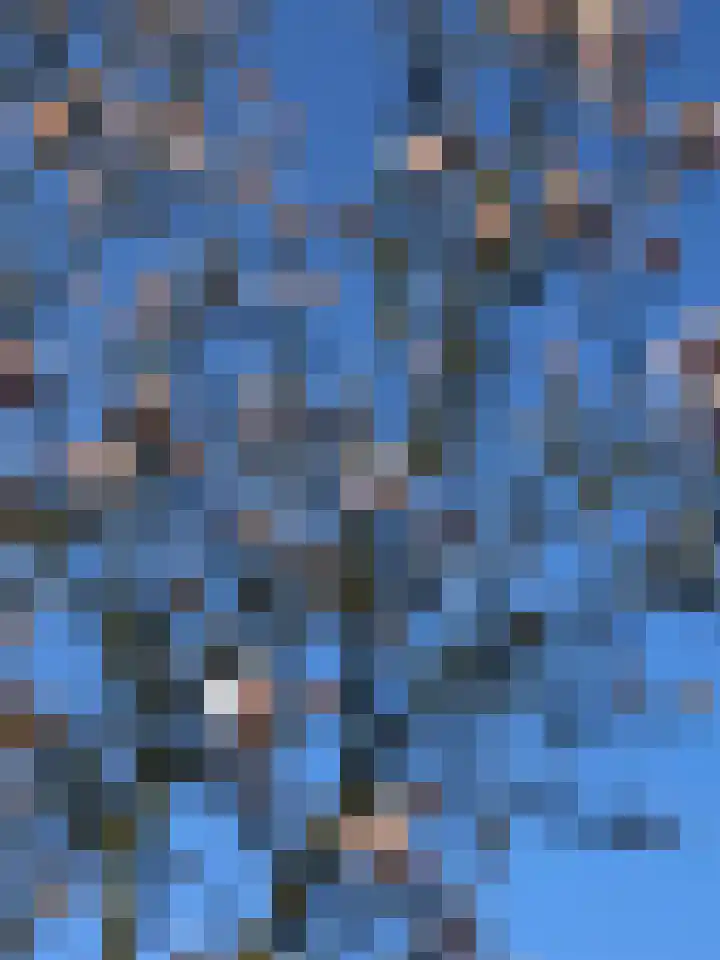 Kraaiheide 82 Eerbeek thumbnail 65
