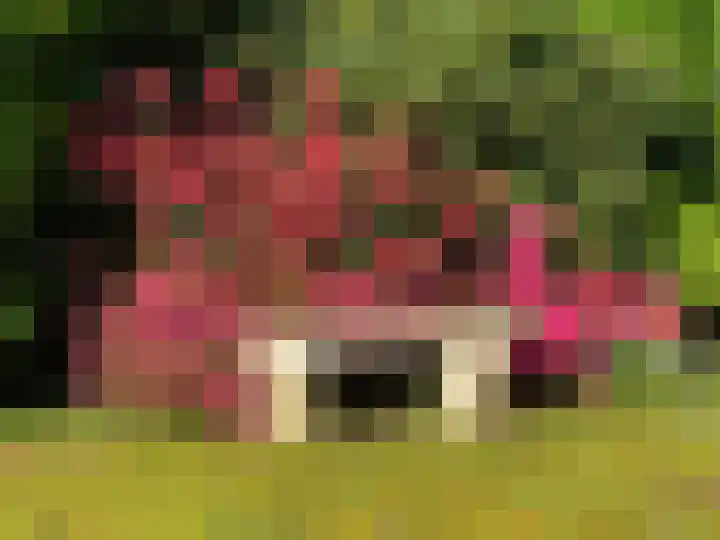 Kraaiheide 82 Eerbeek thumbnail 66