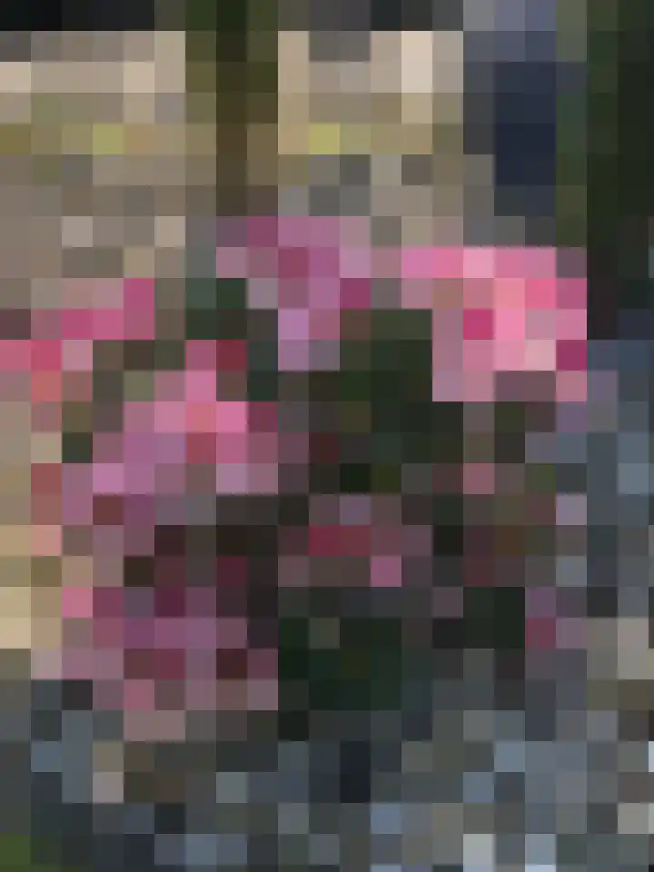 Kraaiheide 82 Eerbeek thumbnail 67