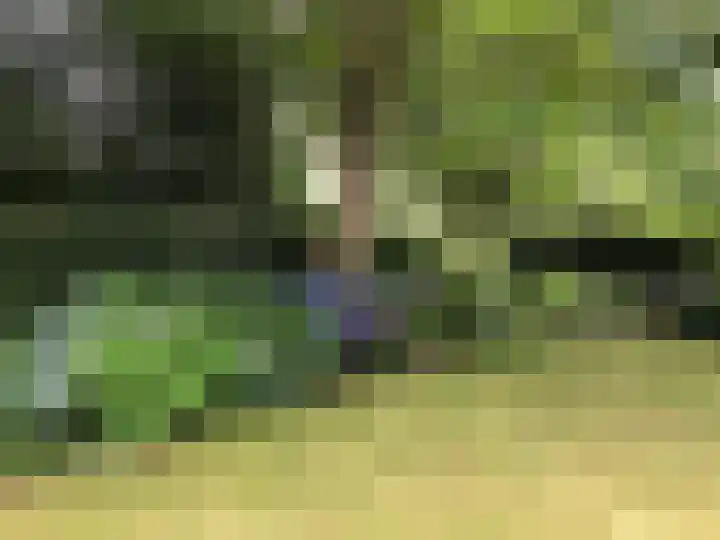 Kraaiheide 82 Eerbeek thumbnail 68