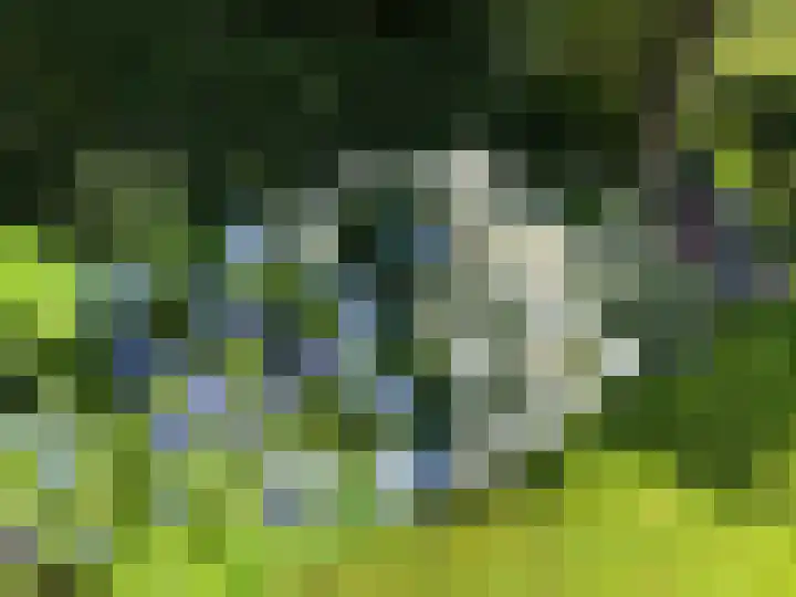 Kraaiheide 82 Eerbeek thumbnail 69