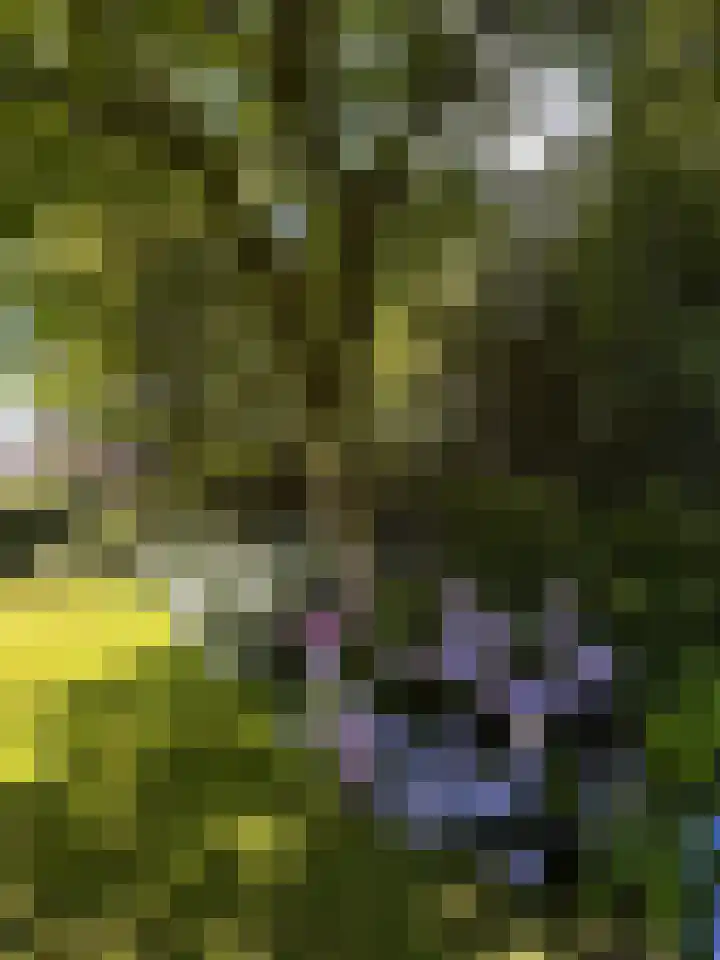 Kraaiheide 82 Eerbeek thumbnail 70