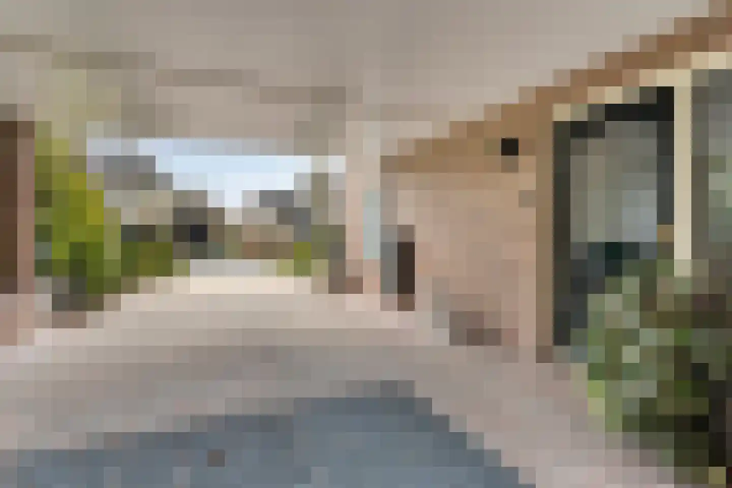 Kraaiheide 84 Eerbeek thumbnail 32