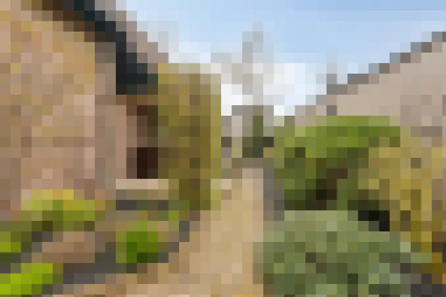 Kraaiheide 84 Eerbeek thumbnail 33