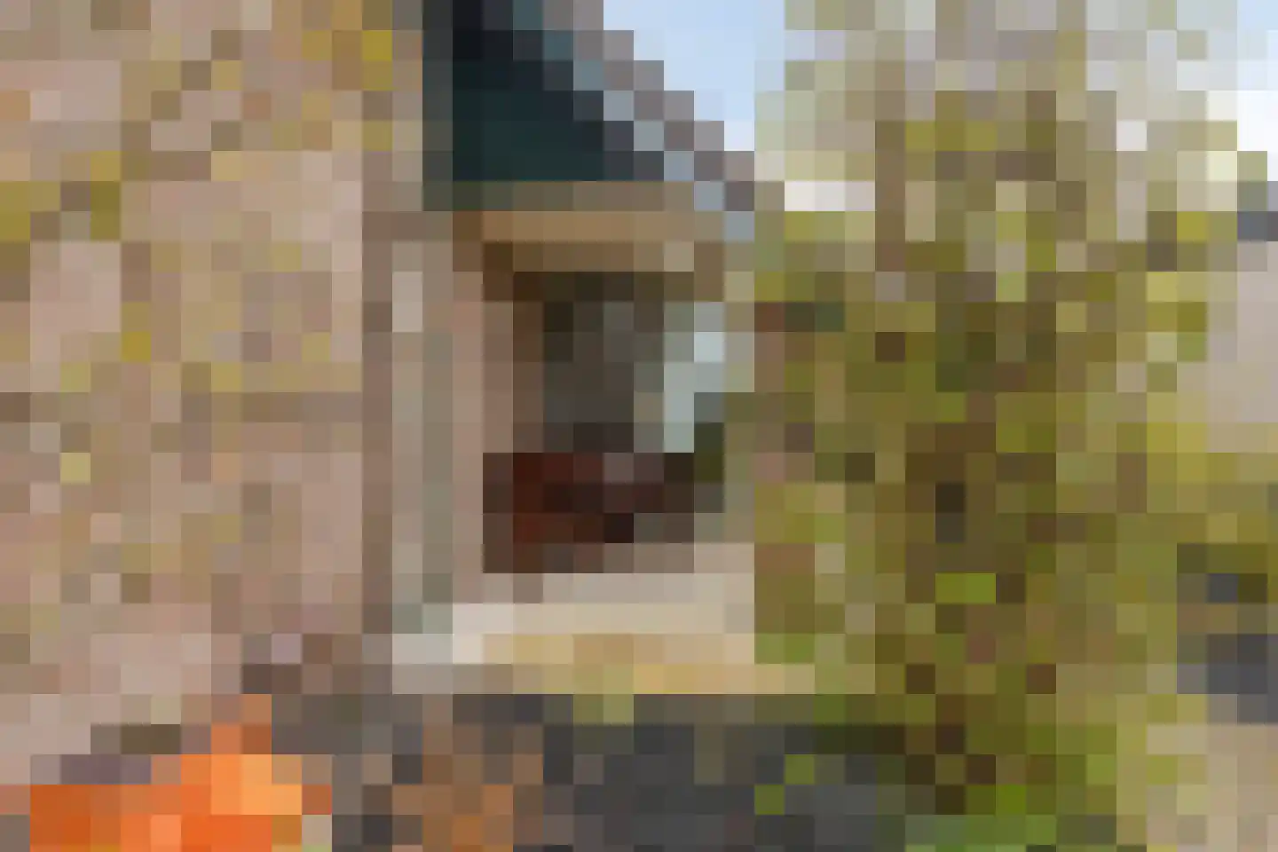 Kraaiheide 84 Eerbeek thumbnail 34