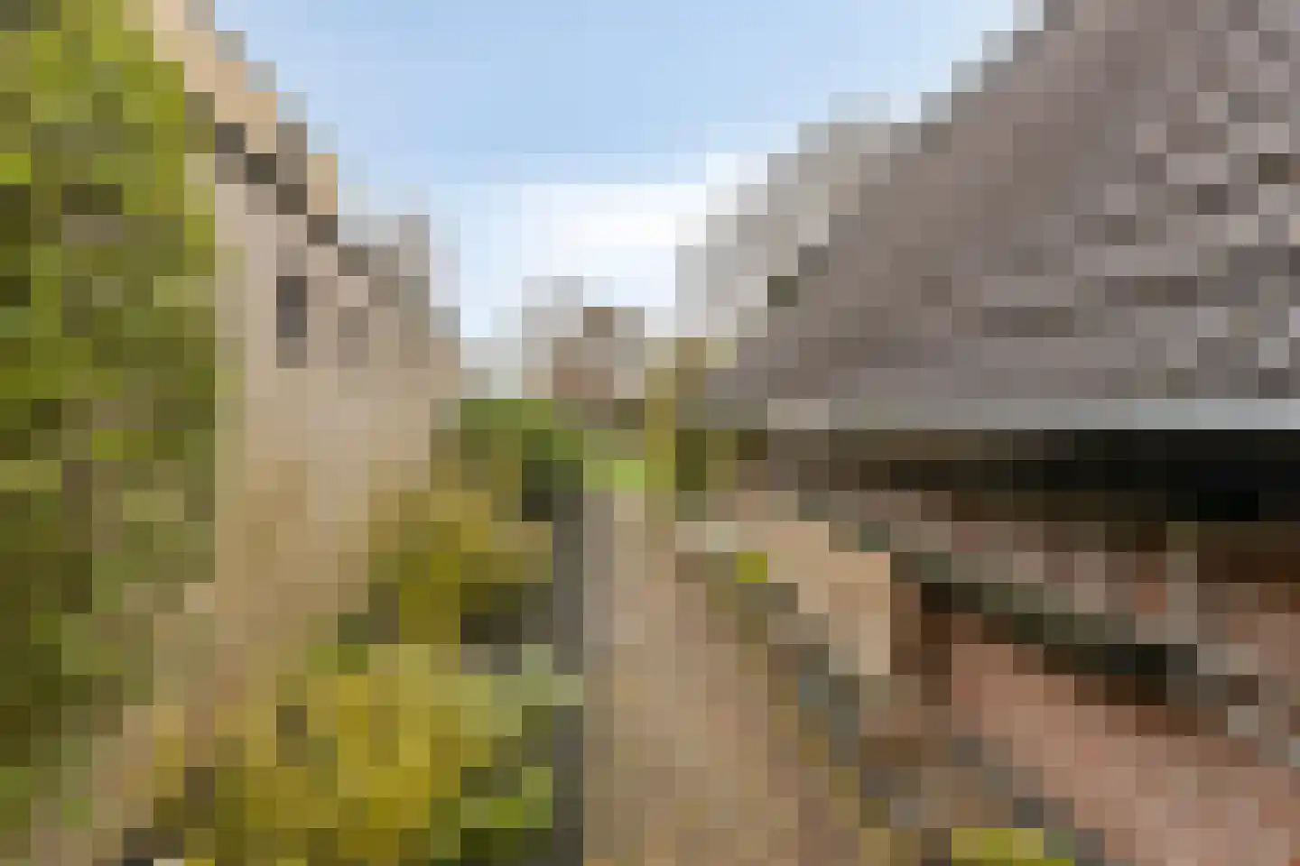 Kraaiheide 84 Eerbeek thumbnail 35