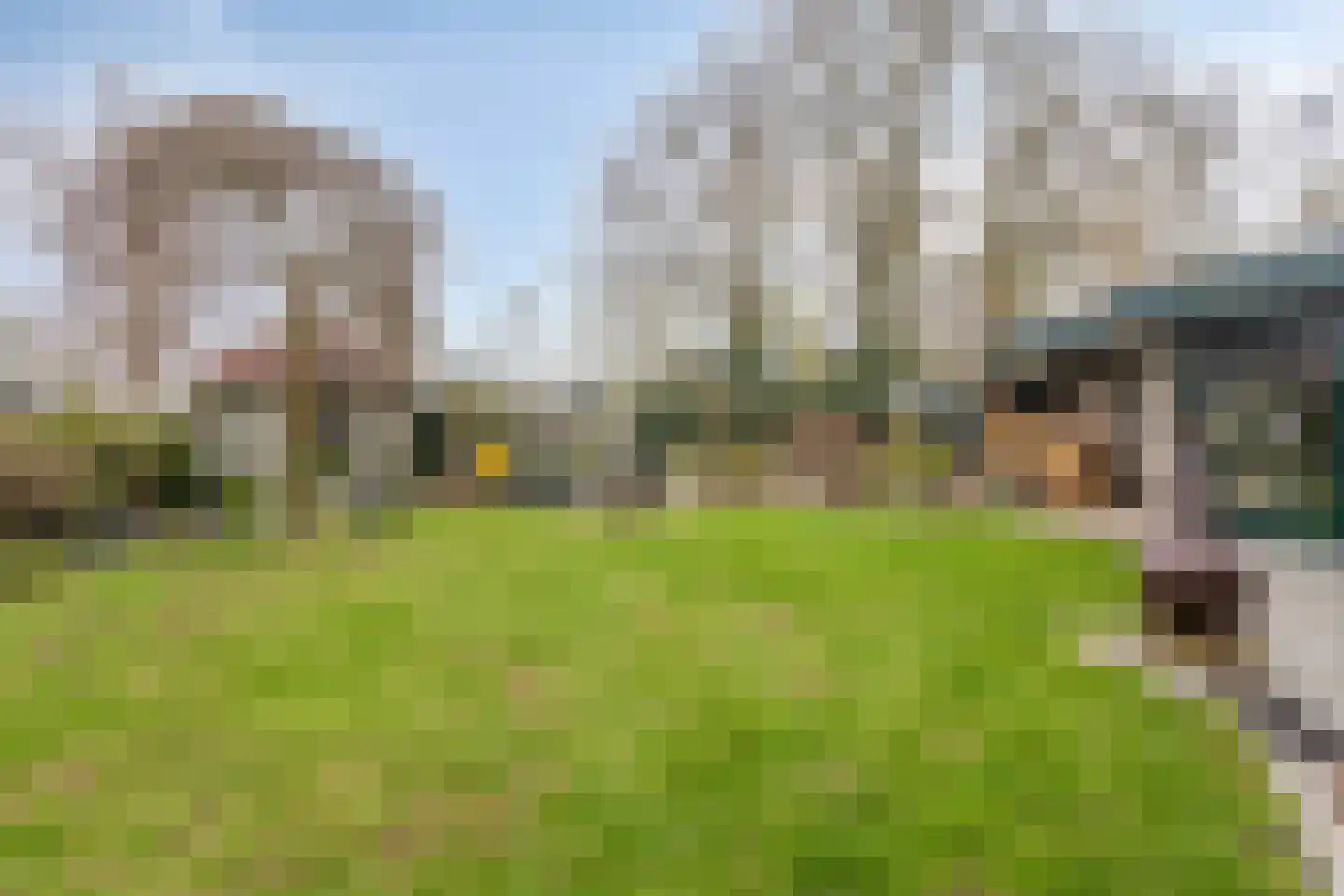 Kraaiheide 84 Eerbeek thumbnail 36