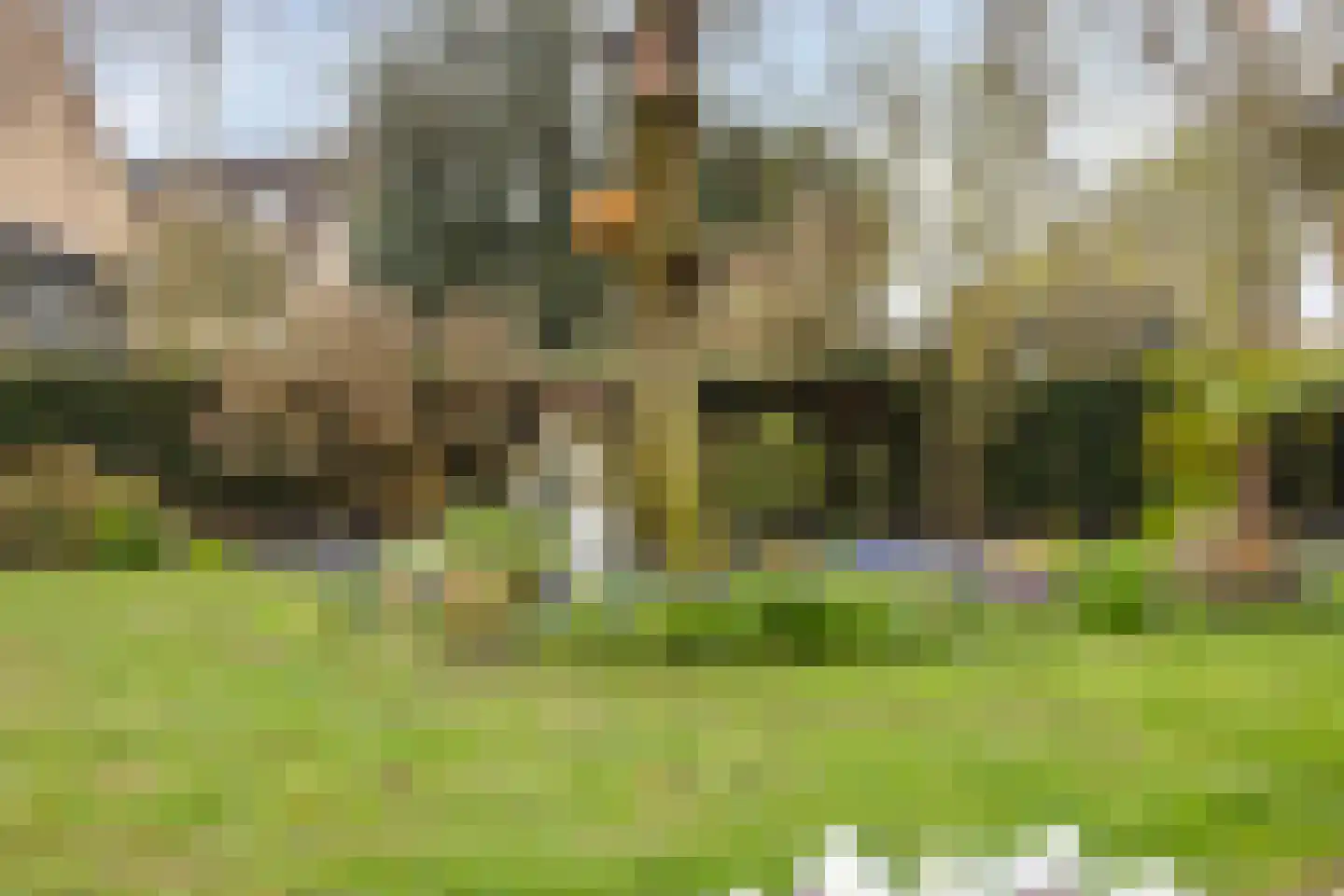 Kraaiheide 84 Eerbeek thumbnail 39