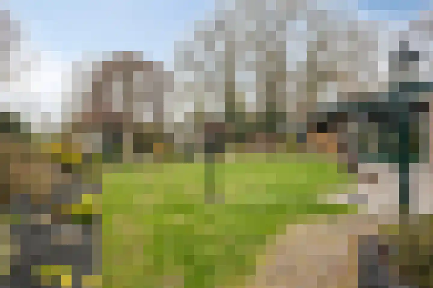 Kraaiheide 84 Eerbeek thumbnail 41