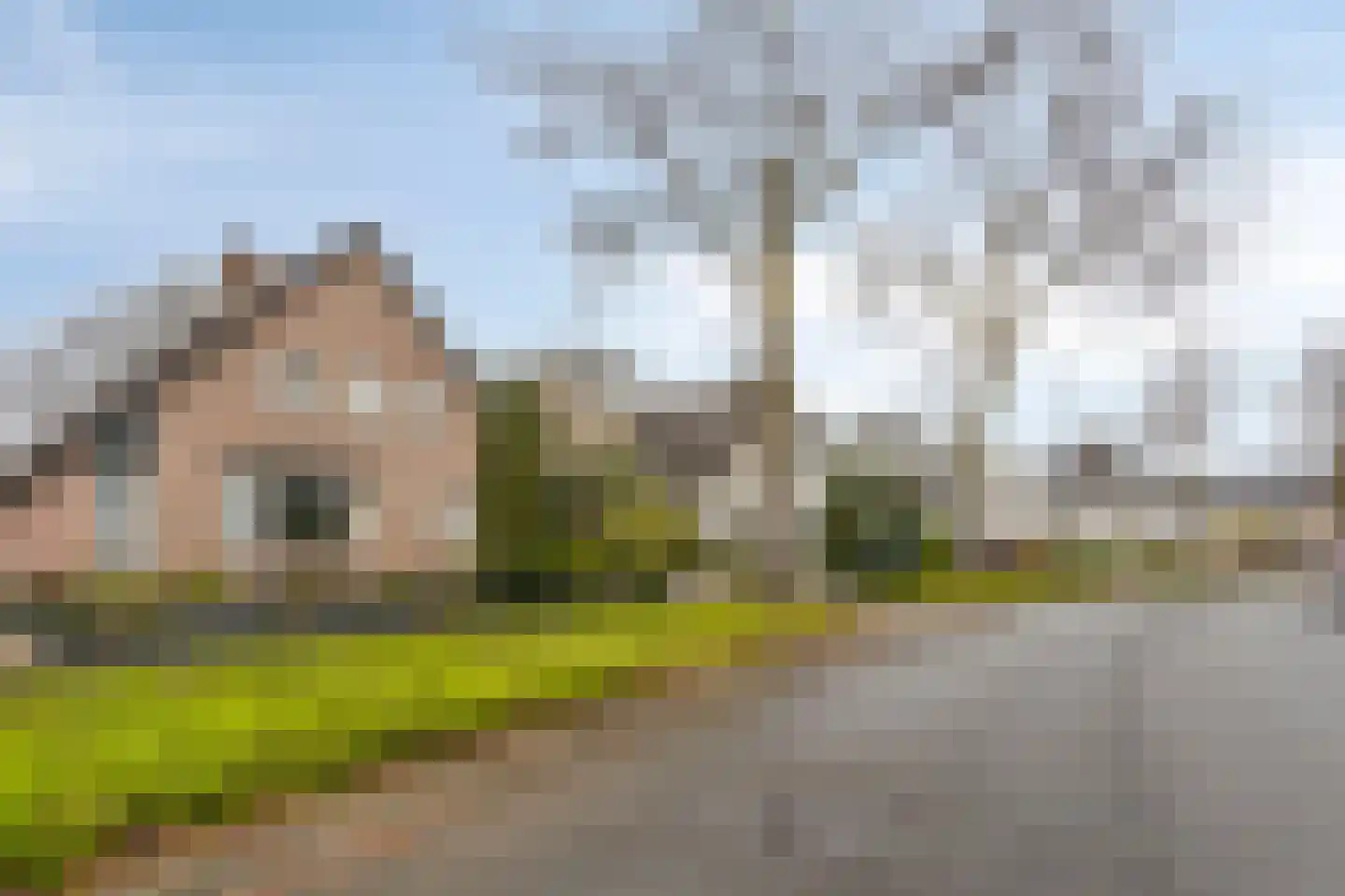 Kraaiheide 84 Eerbeek thumbnail 42