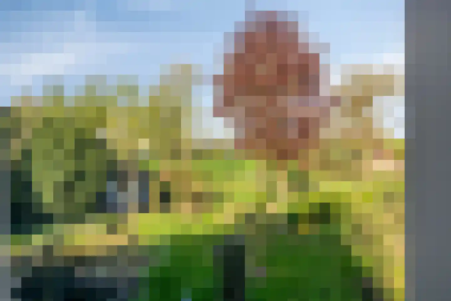 Kraaiheide 86 Eerbeek thumbnail 34
