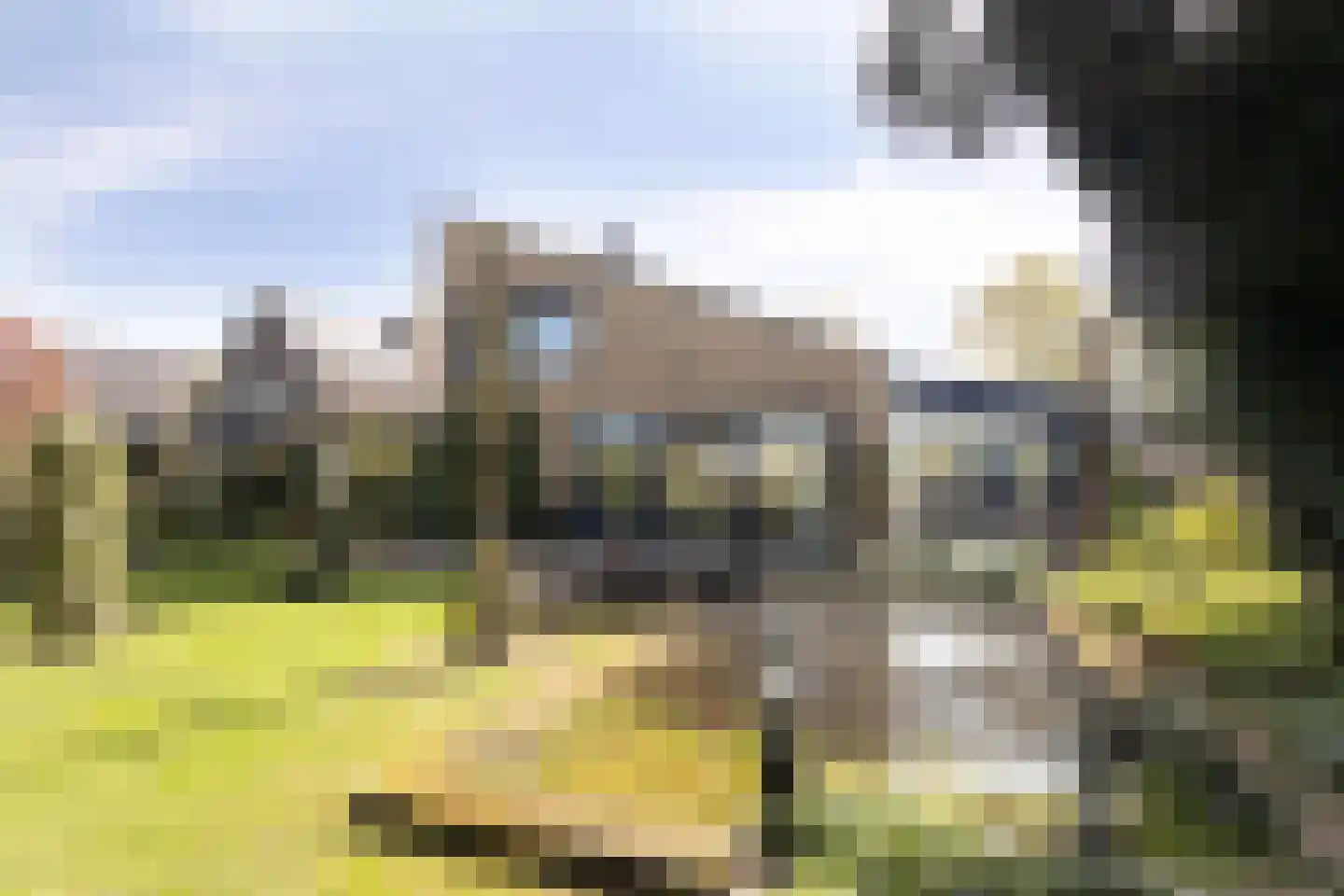 Kraaiheide 86 Eerbeek thumbnail 46