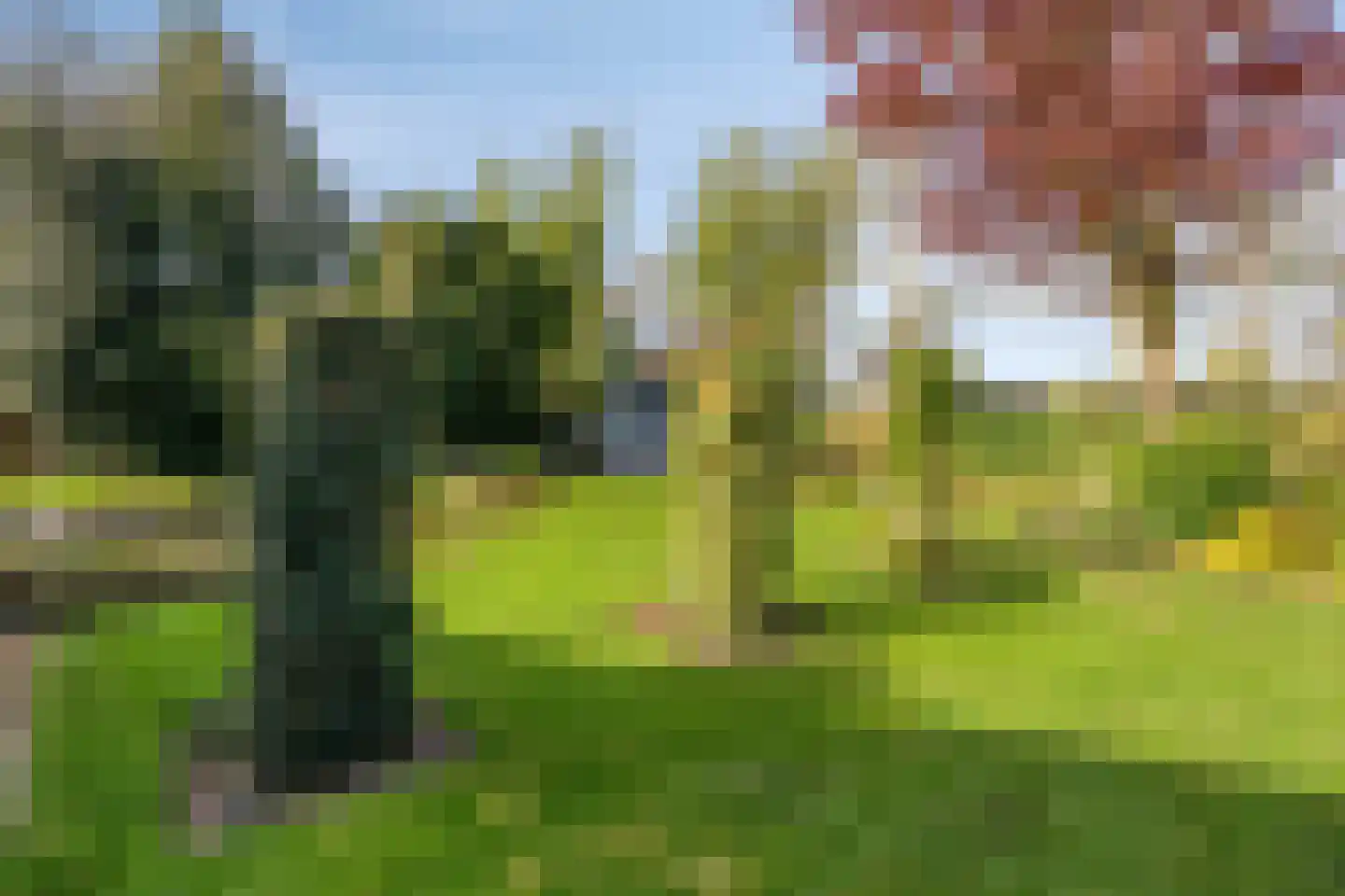 Kraaiheide 86 Eerbeek thumbnail 47