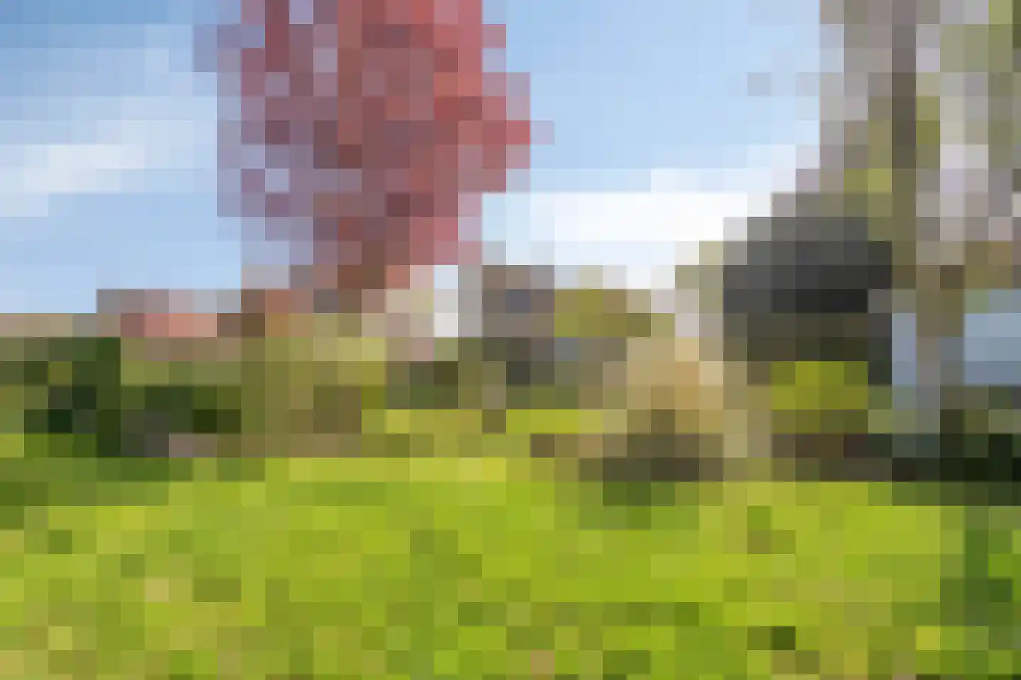 Kraaiheide 86 Eerbeek thumbnail 48