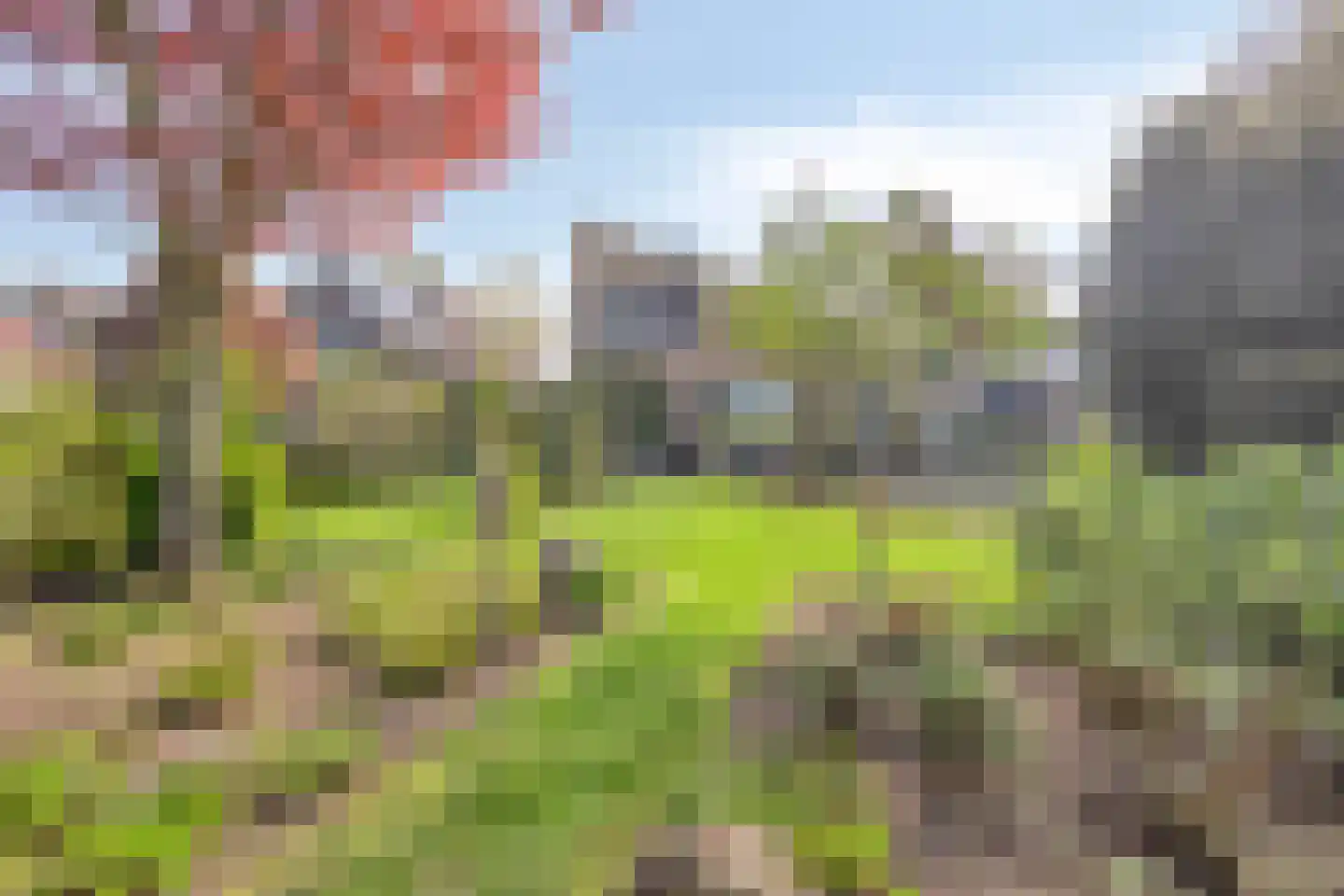 Kraaiheide 86 Eerbeek thumbnail 49