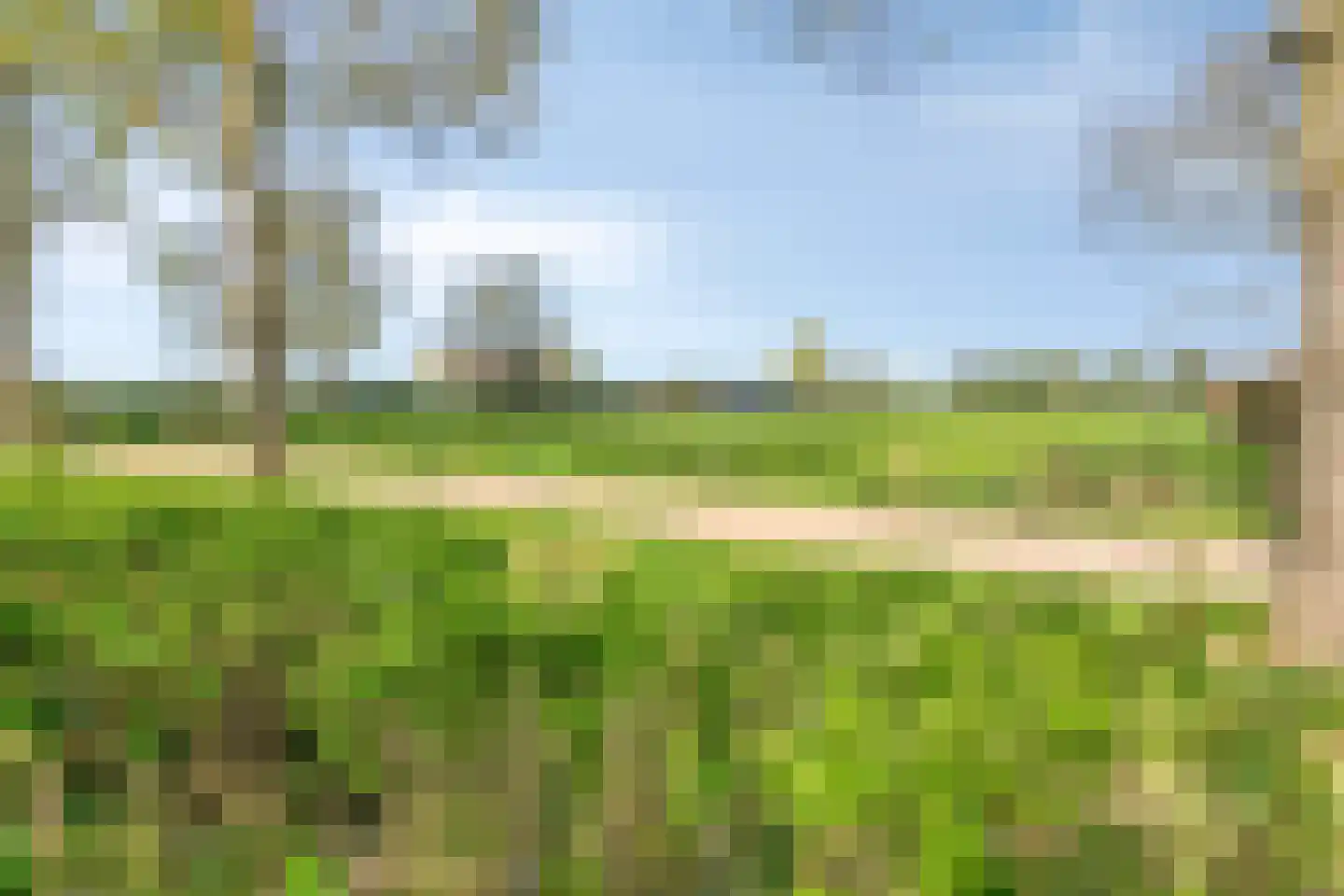 Kraaiheide 86 Eerbeek thumbnail 50