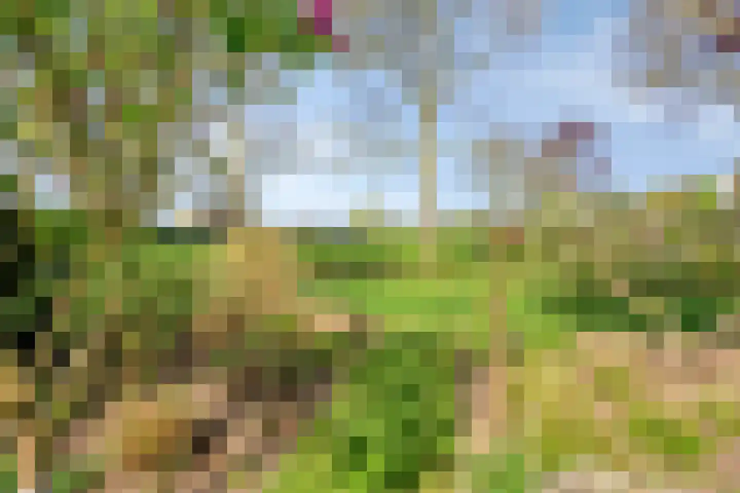 Kraaiheide 86 Eerbeek thumbnail 51