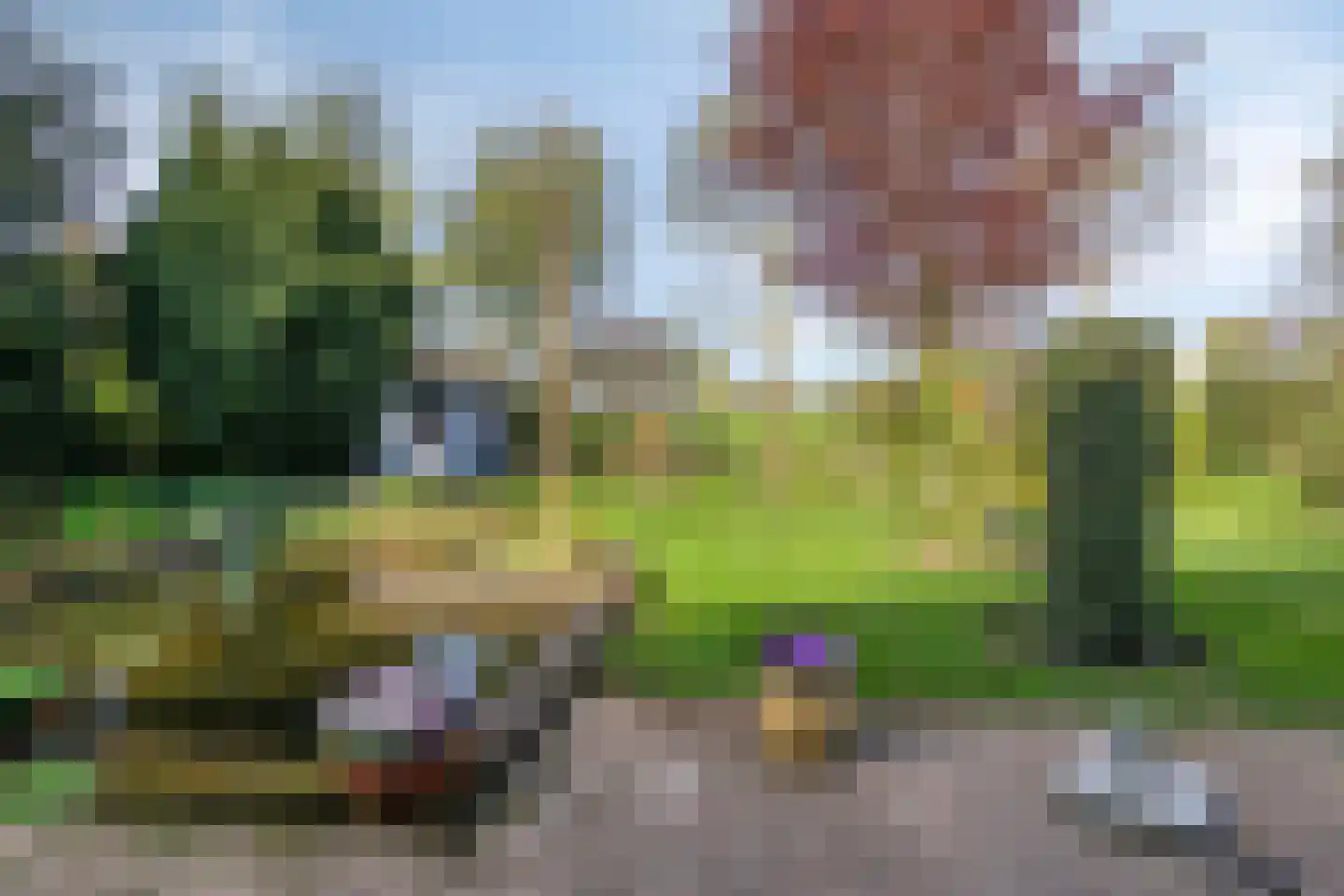Kraaiheide 86 Eerbeek thumbnail 54