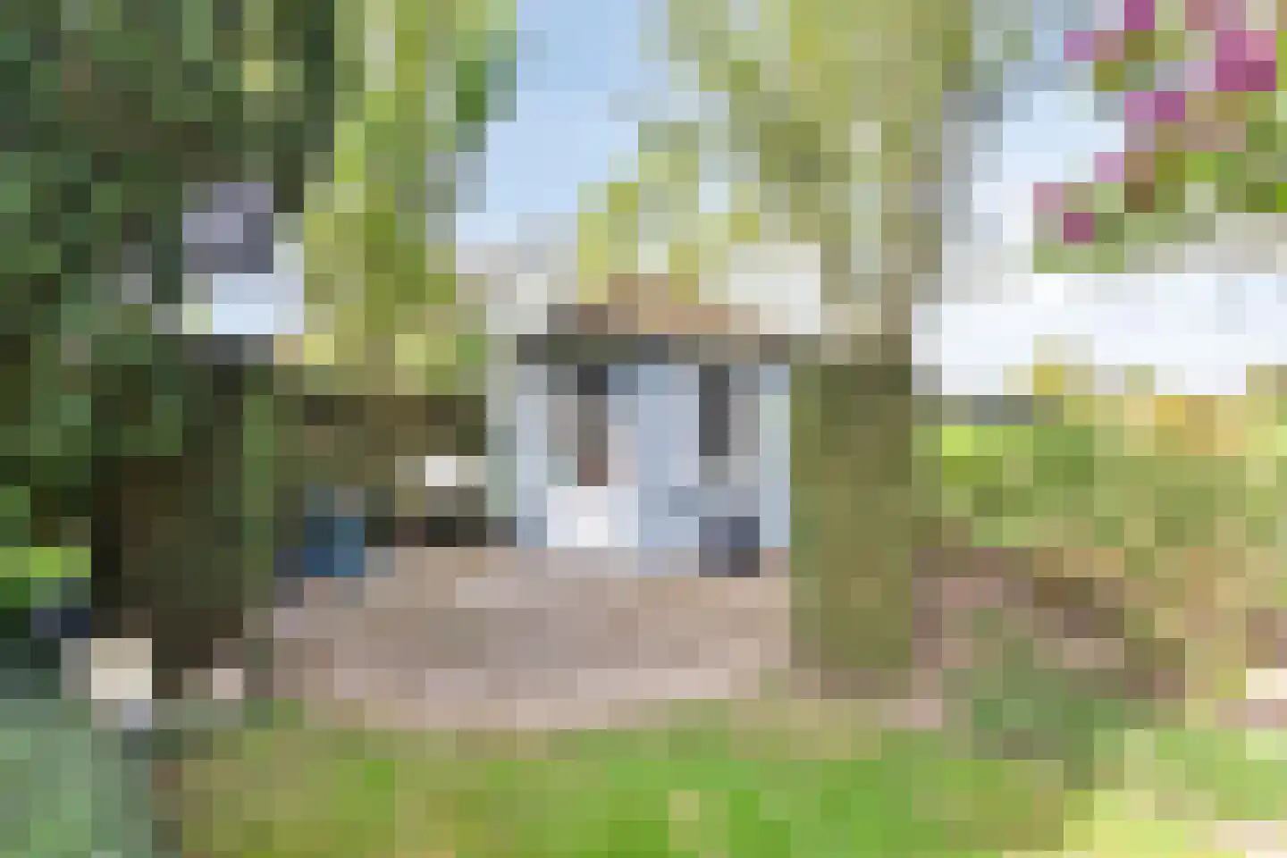 Kraaiheide 86 Eerbeek thumbnail 55